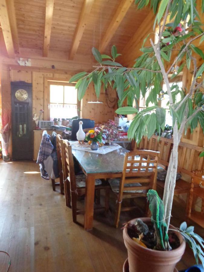 Barrierefreies Zimmer Im Blockhaus Mit Sauna Am See Soyen Dış mekan fotoğraf